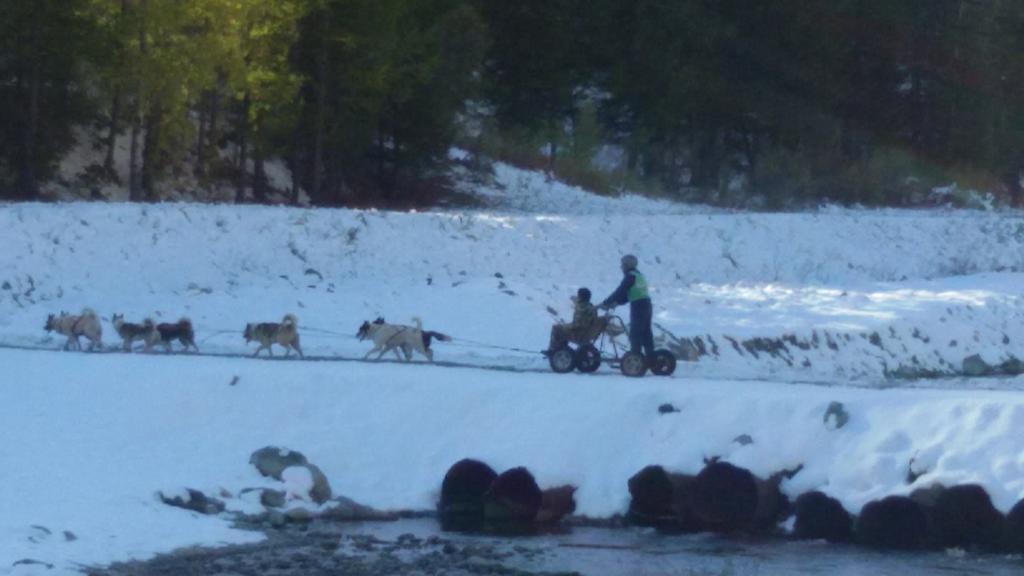 Baita Del Plan Pragelato Bagian luar foto